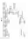 Fig. 12 - METHOD FOR DISCOVERING NEIGHBOR NODE IN WIRELESS LOCAL AREA NETWORK