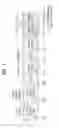 Fig. 02 - Method for transceiving control signals, and apparatus therefor