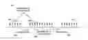 Fig. 01 - Random access in networks with carrier aggregation