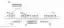 Fig. 01 - Sounding in multicarrier wireless communications