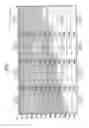 Fig. 08 - METHOD FOR PARALLEL PROCESSING OF A VIDEO FRAME BASED ON WAVE-FRONT APPROACH
