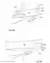 Fig. 135 - Method for designing a cutting edge of a cutting tool, cutting tools comprising the same, and cutting elements with multiple such cutting portions