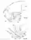Fig. 156 - Method for designing a cutting edge of a cutting tool, cutting tools comprising the same, and cutting elements with multiple such cutting portions
