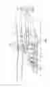 Fig. 02 - Counter-rotating rotor system with static mast