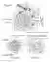 Fig. 06 - Oil Pump