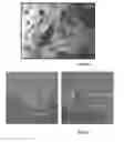 Fig. 08 - PROCESS FOR MANUFACTURING A THERMOELECTRIC MATERIAL