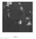 Fig. 04 - Synthesis of unit cell sized oxide particulates