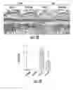 Fig. 09 - Compositions and methods for treating or preventing osteoarthritis