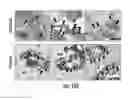 Fig. 49 - Compositions and methods for treating or preventing osteoarthritis