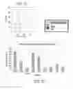 Fig. 06 - Isolated populations of renal stem cells and methods of isolating and using same