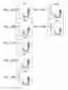 Fig. 20 - Isolated populations of renal stem cells and methods of isolating and using same