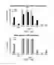 Fig. 25 - Isolated populations of renal stem cells and methods of isolating and using same
