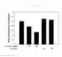 Fig. 19 - Antibody specific for CLEC14A and uses thereof