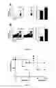 Fig. 07 - PHARMACEUTICAL COMPOSITION FOR TREATING AND/OR PREVENTING TYPE I DIABETES AND APPLICATION THEREOF
