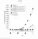 Fig. 08 - Method of combination therapy using an anti-C-Met antibody