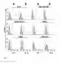 Fig. 04 - Photoimmunoconjugates for use in photodynamic therapy