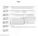 Fig. 08 - Interaction of with epithelial cells, extracellular matrix proteins and the complement system