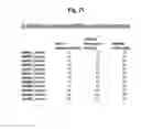Fig. 35 - Interaction of with epithelial cells, extracellular matrix proteins and the complement system