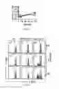 Fig. 04 - Recombinant bacterium and uses thereof