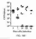 Fig. 20 - Recombinant bacterium and uses thereof