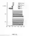 Fig. 12 - Immunomodulation using placental stem cells