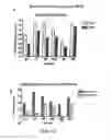 Fig. 13 - Immunomodulation using placental stem cells