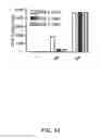 Fig. 15 - Immunomodulation using placental stem cells