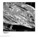 Fig. 06 - Method for the surface application of chemical compounds to both synthetic and natural fibers and a system for same