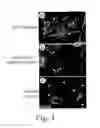 Fig. 02 - Compositions and methods for promoting wound healing and tissue regeneration