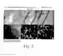 Fig. 03 - Compositions and methods for promoting wound healing and tissue regeneration