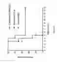 Fig. 08 - Method for inducing an immune response and formulations thereof