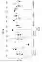 Fig. 08 - IMMUNOGENIC COMPOSITIONS AND USES THEREOF