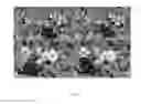 Fig. 06 - Kinase inhibitors