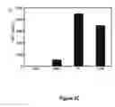 Fig. 10 - Aminoacyl tRNA synthetases for modulating inflammation