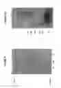Fig. 07 - Heparosan-Multimolecular Assembly Drug Delivery Compositions and Methods of Making and Using Same