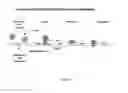 Fig. 02 - COMPOSITIONS AND METHODS FOR TREATMENT