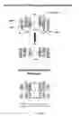Fig. 03 - COMPOSITIONS AND METHODS FOR TREATMENT