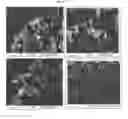 Fig. 40 - Nanoclusters compositions and methods