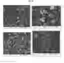 Fig. 41 - Nanoclusters compositions and methods
