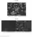 Fig. 45 - Nanoclusters compositions and methods
