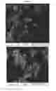 Fig. 46 - Nanoclusters compositions and methods