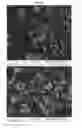 Fig. 47 - Nanoclusters compositions and methods