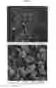 Fig. 49 - Nanoclusters compositions and methods