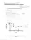 Fig. 10 - Therapeutic polymeric nanoparticles and methods of making and using same