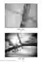 Fig. 46 - Compositions of jasmonate compounds and methods of use