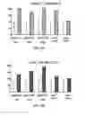 Fig. 22 - Method of diagnosing, treating and determining progression and survival of cancer cells using BCL-2 antagonist of cell death (BAD) pathway gene signature