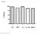 Fig. 07 - Therapeutic Composition And Use