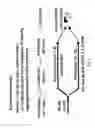 Fig. 09 - Nutriprotective diet