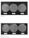 Fig. 11 - Two-phase fermentation of increases nitrate reductase activity