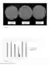 Fig. 14 - Two-phase fermentation of increases nitrate reductase activity